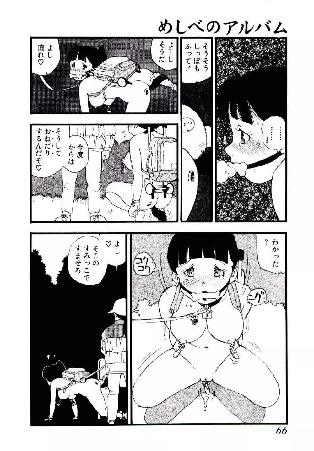 めしべのアルバム Page.65