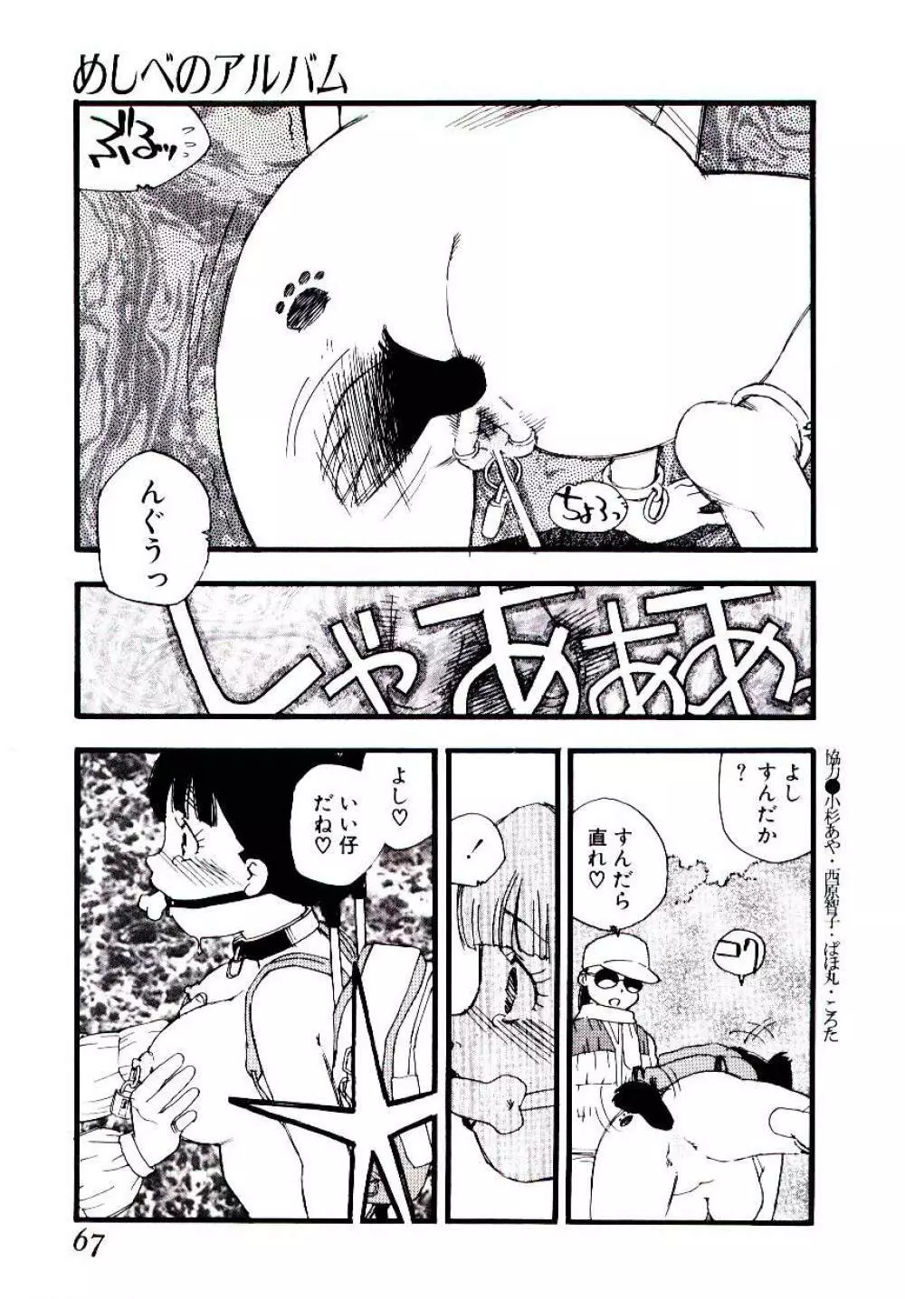 めしべのアルバム Page.66