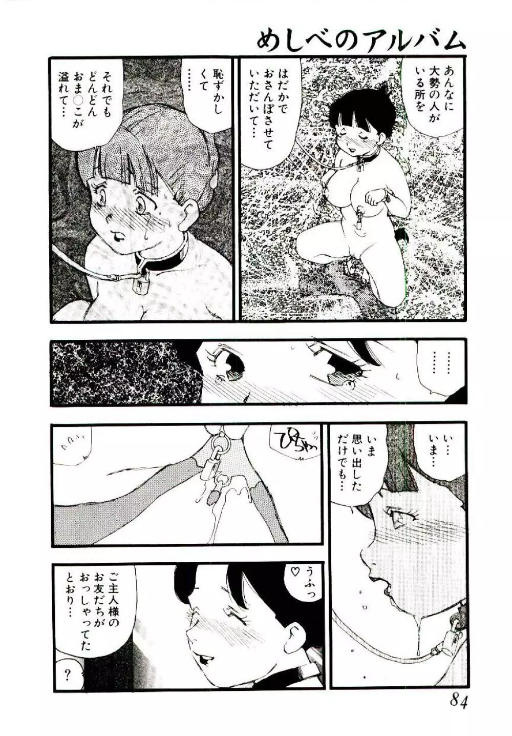 めしべのアルバム Page.83