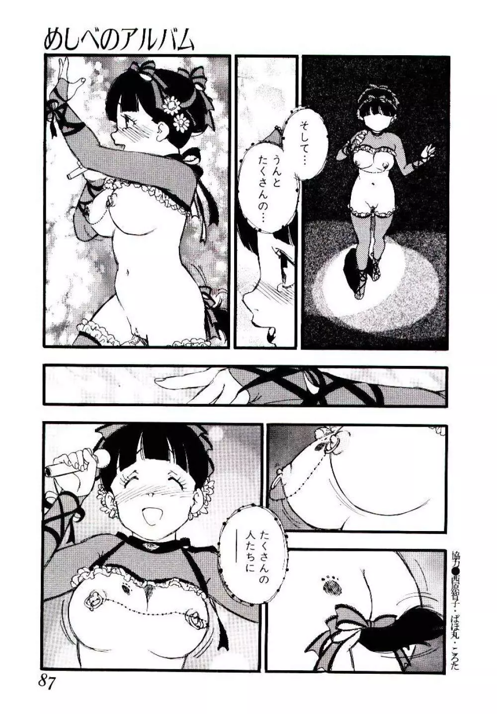 めしべのアルバム Page.86