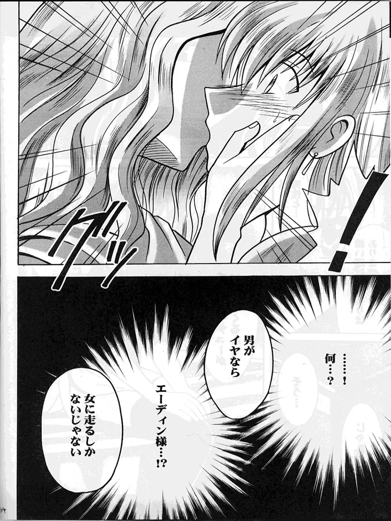 紋章のすべて Page.103