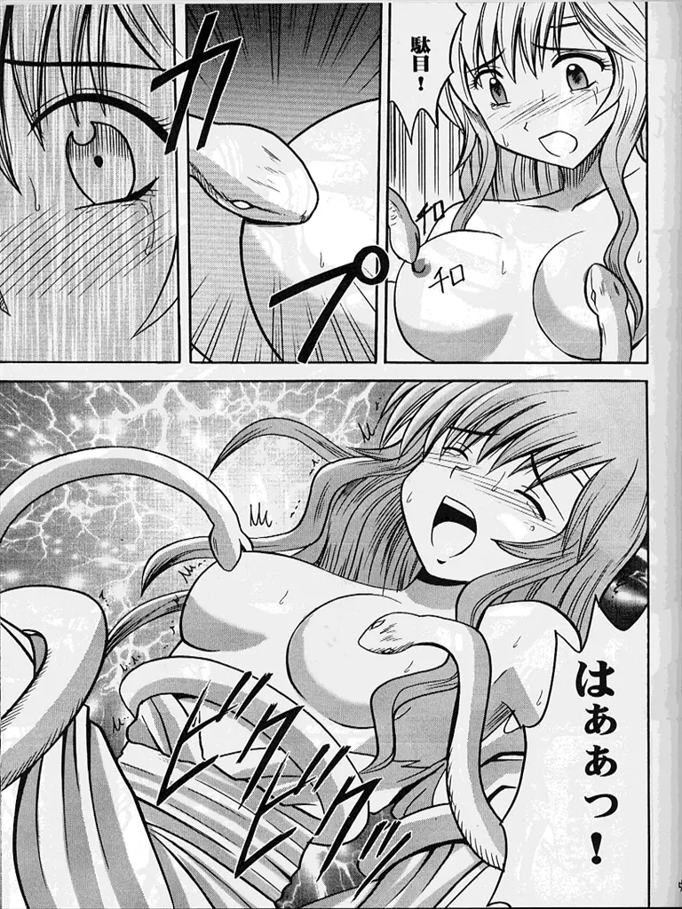 紋章のすべて Page.54