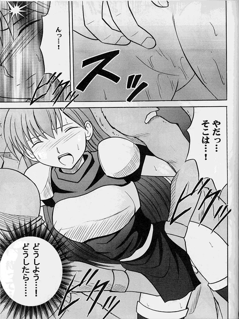 紋章のすべて Page.80