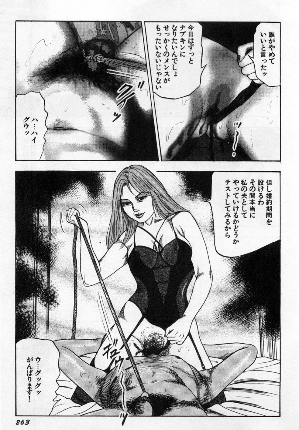 淫獣姉妹 Page.264