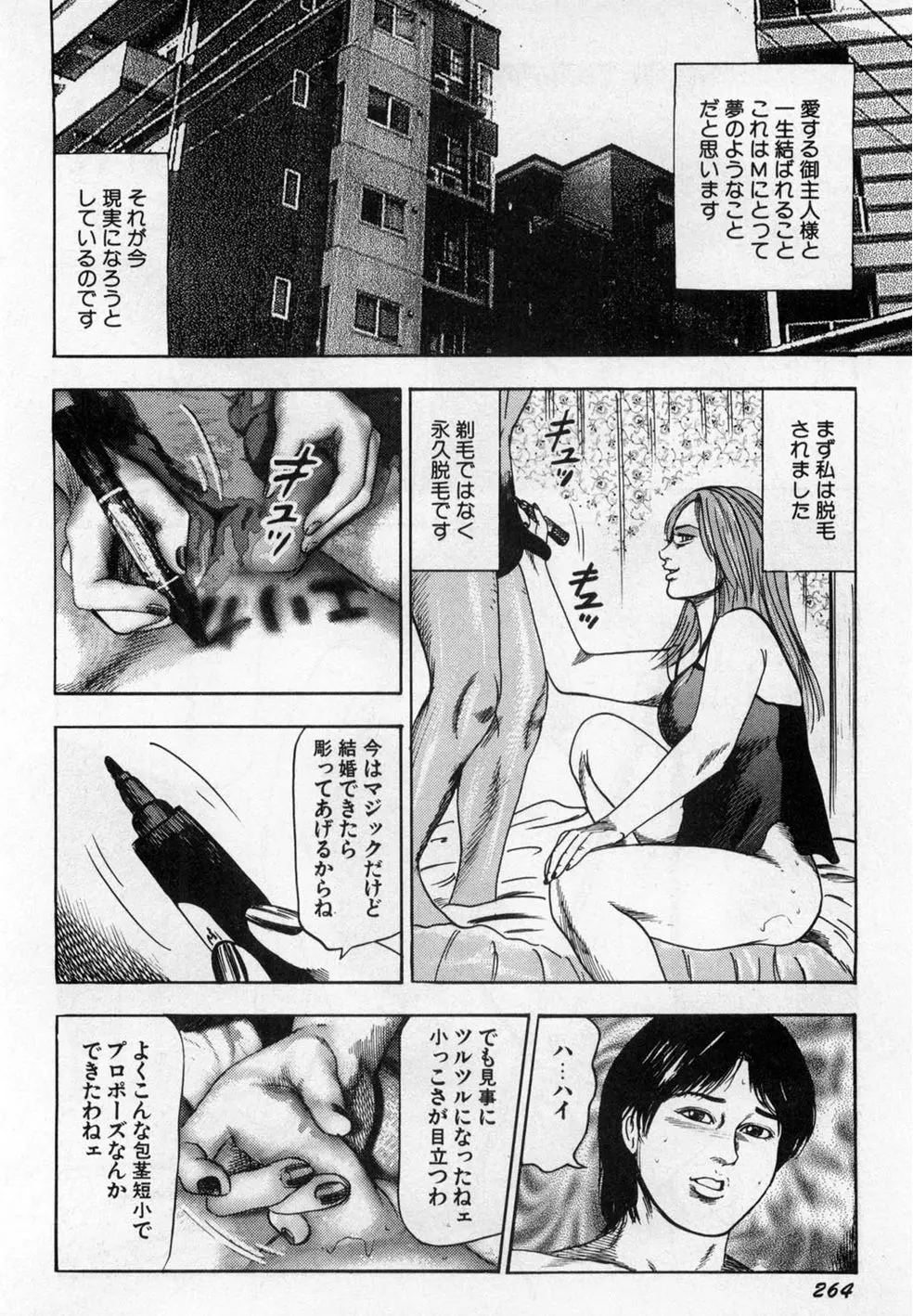 淫獣姉妹 Page.265