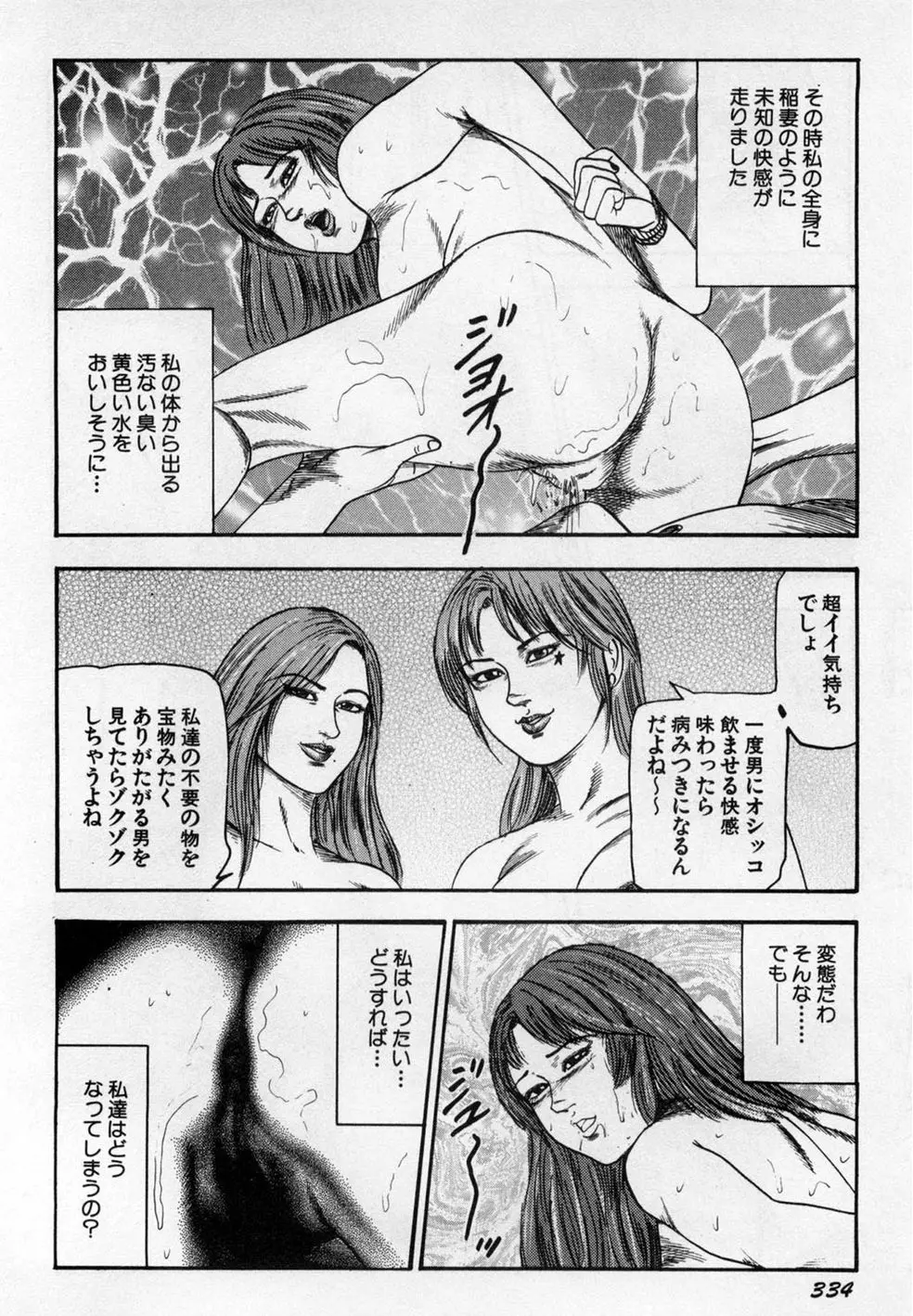 淫獣姉妹 Page.335