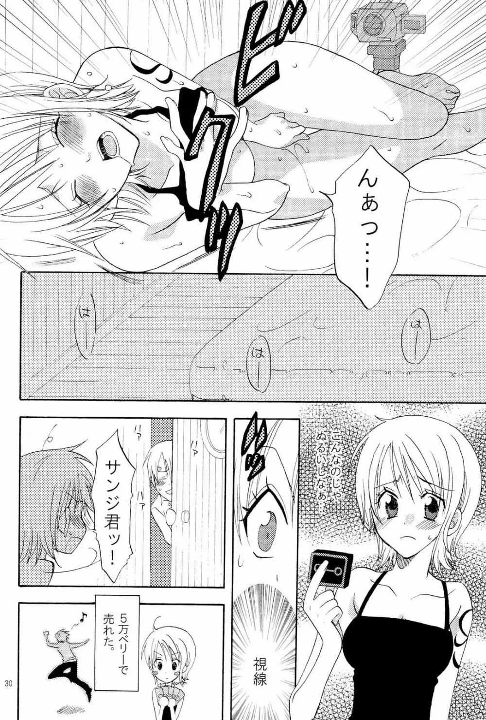 完熟オレンジ Page.29