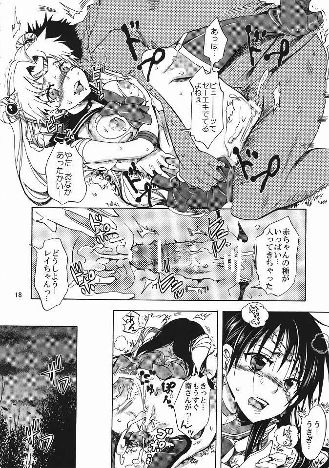 美少女戦士におしおき！ Page.17