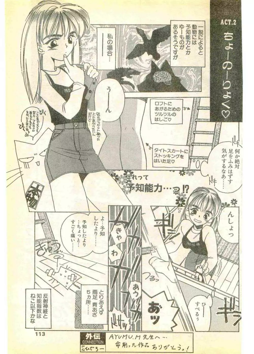 COMIC パピポ外伝 1995年11月号 Vol.17 Page.113