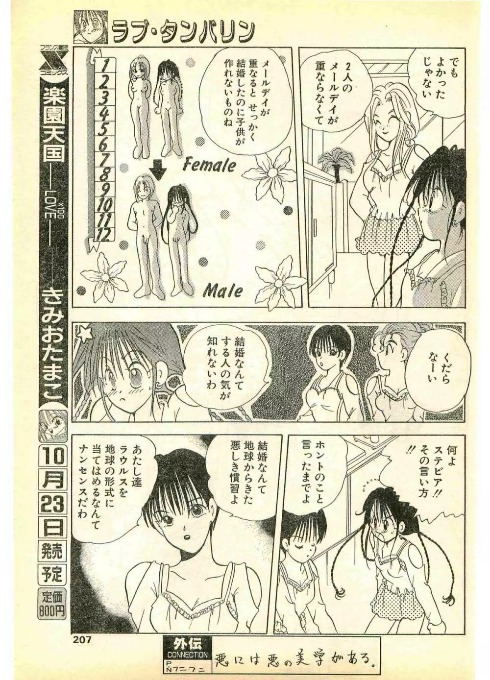 COMIC パピポ外伝 1995年11月号 Vol.17 Page.207