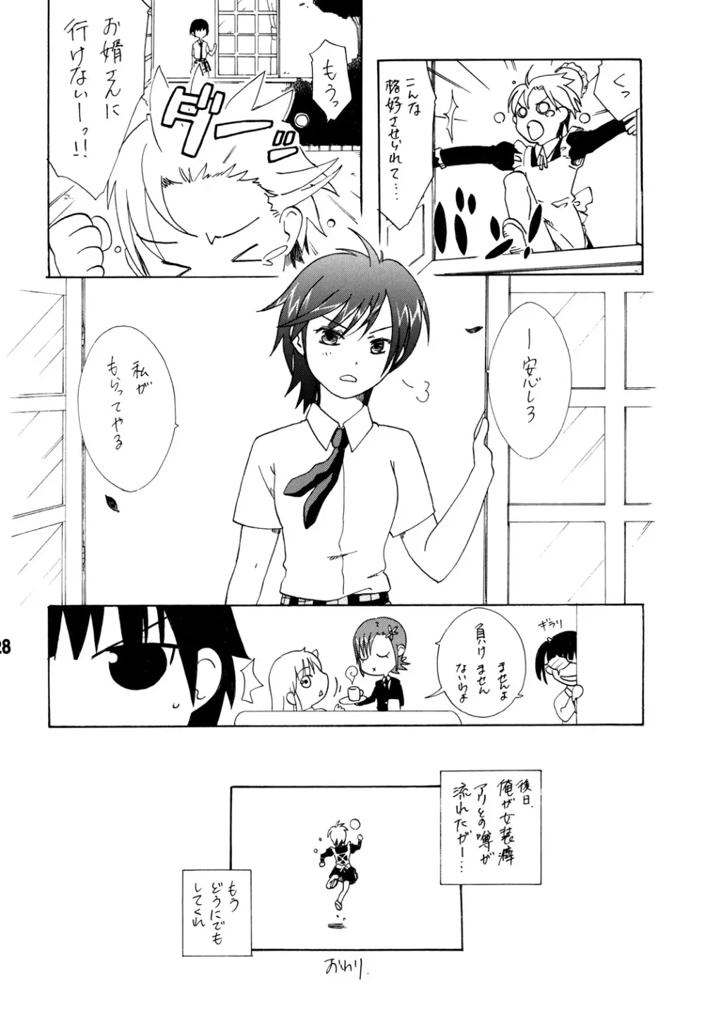 ハガナイックス Page.27