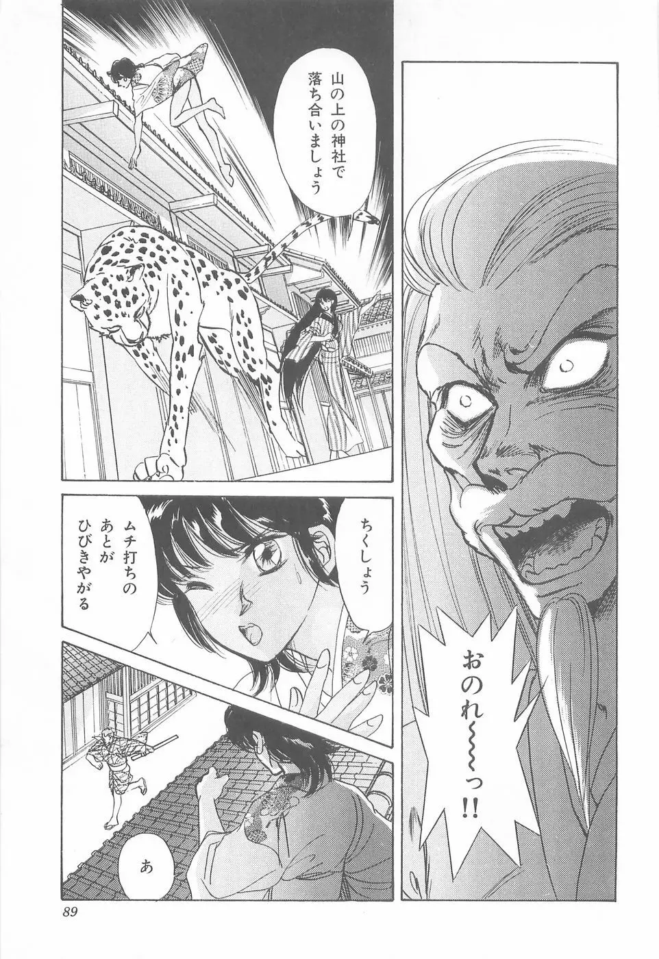 ミッドナイト・パンサー04 Page.89