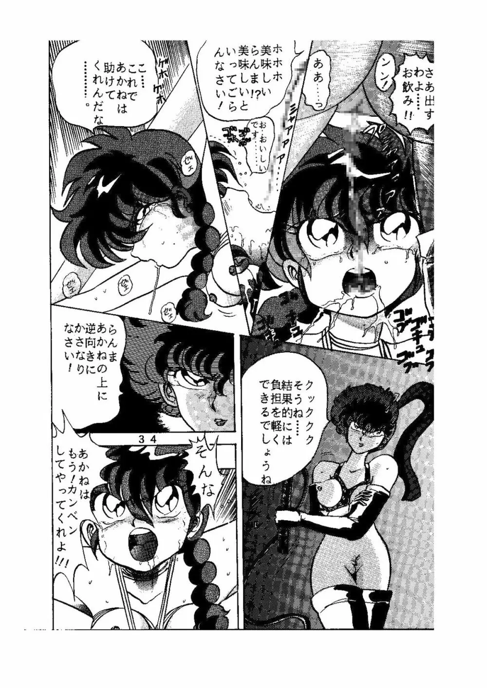 sadistic LaserDisc 黒薔薇館 Page.35