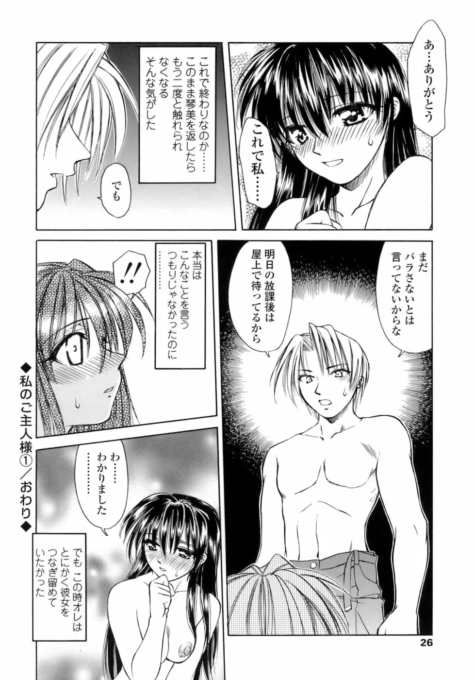 激しさと甘い囁き Page.27