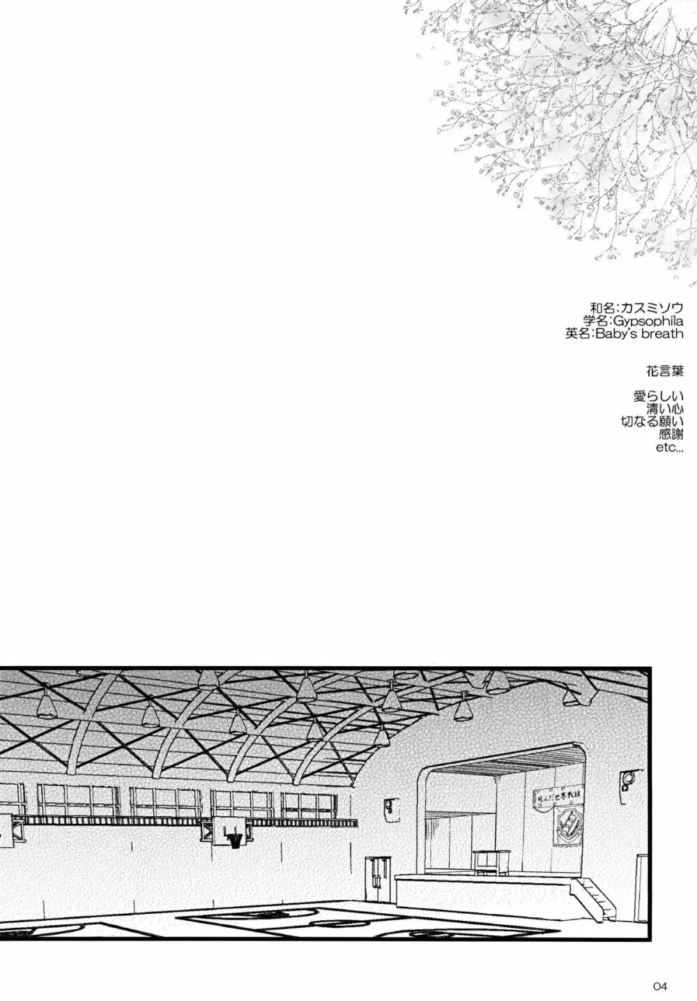 霞草 Page.4