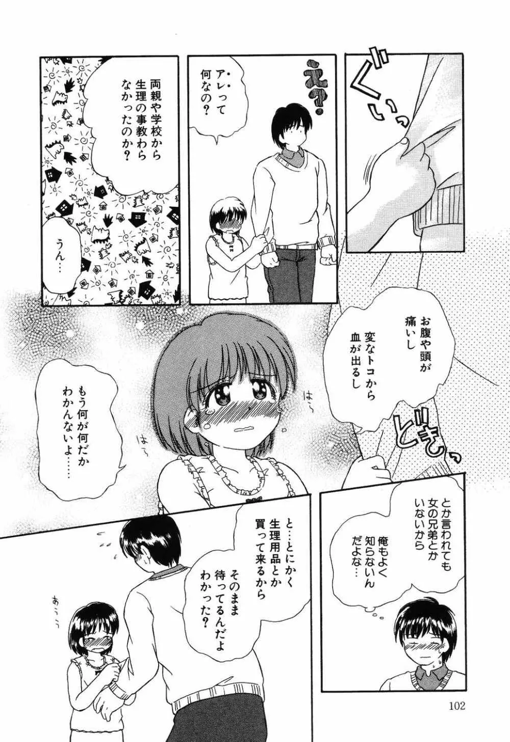 リトルピアス Vol.12 Page.102