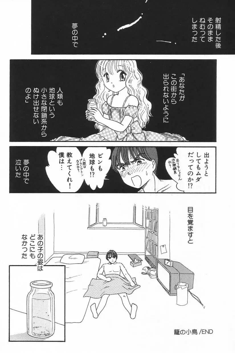 リトルピアス Vol.20 Page.96