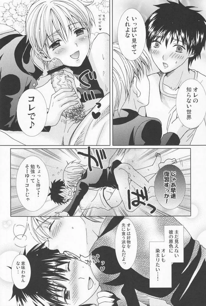 原色の詩 Page.33