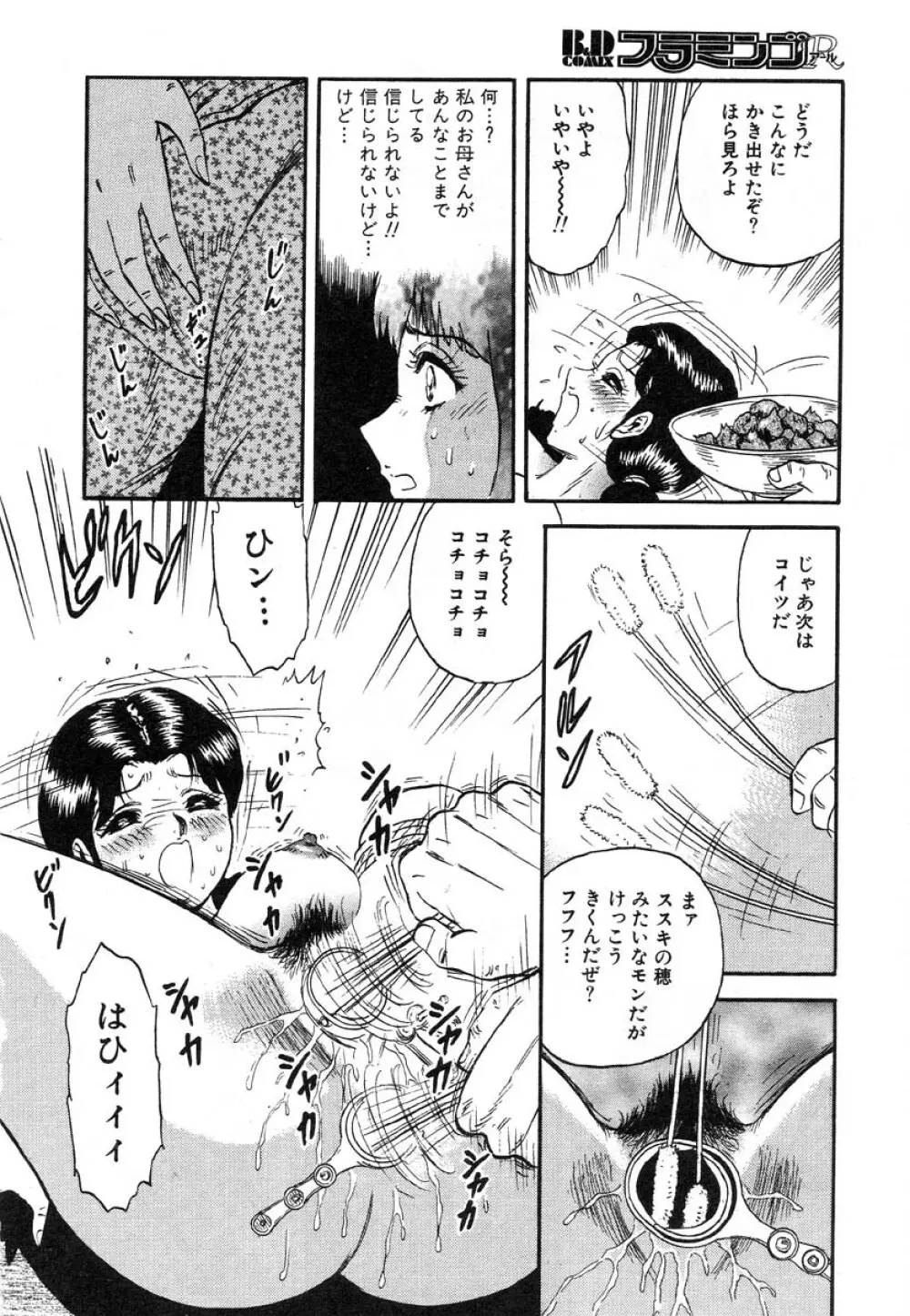 フラミンゴR Vol.02 Page.162