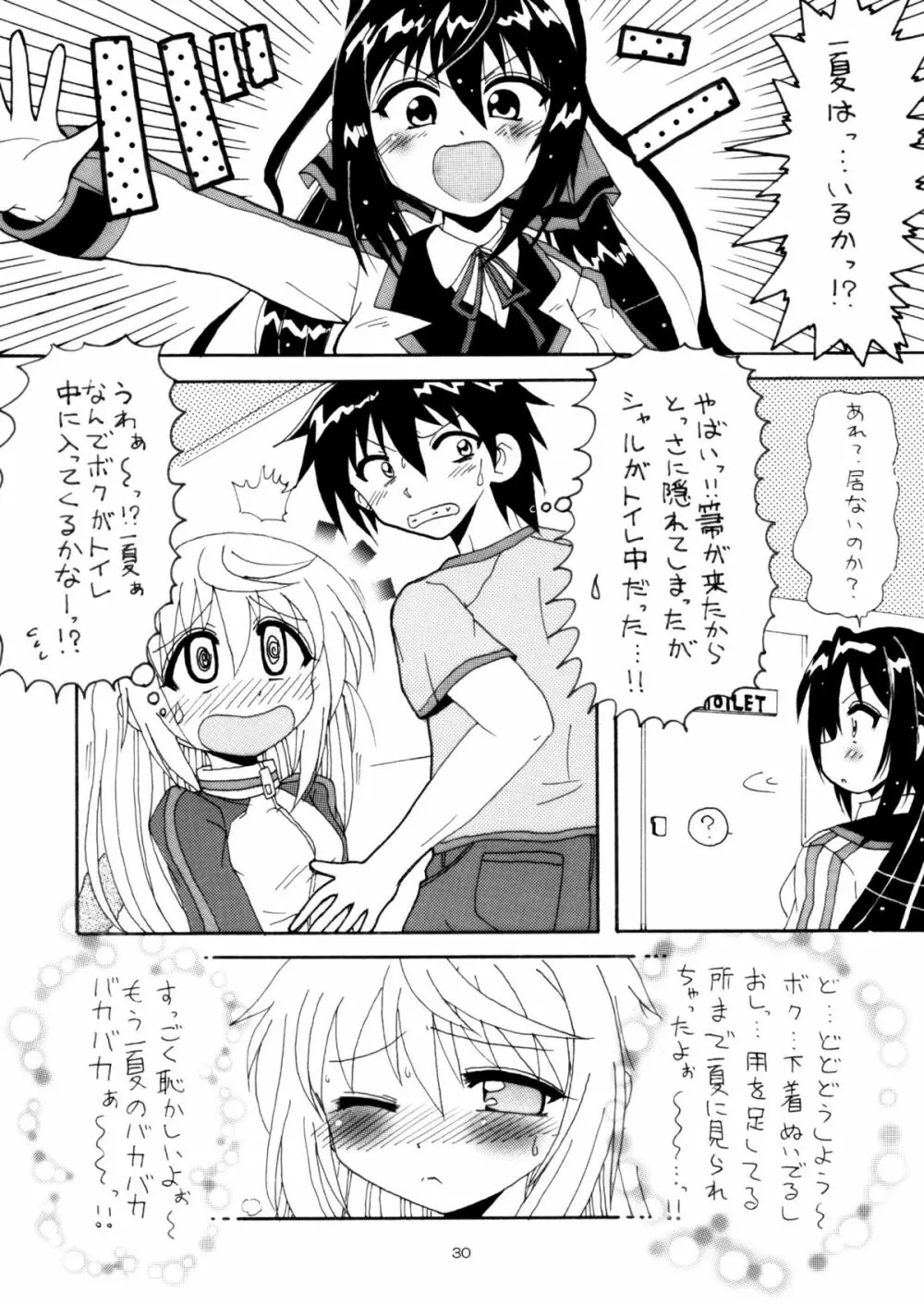 僕の一夏がこんなにケダモノなわけがない Page.29