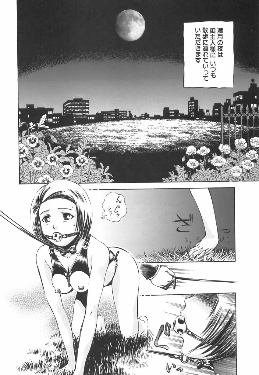 王様と女奴隷 Page.37