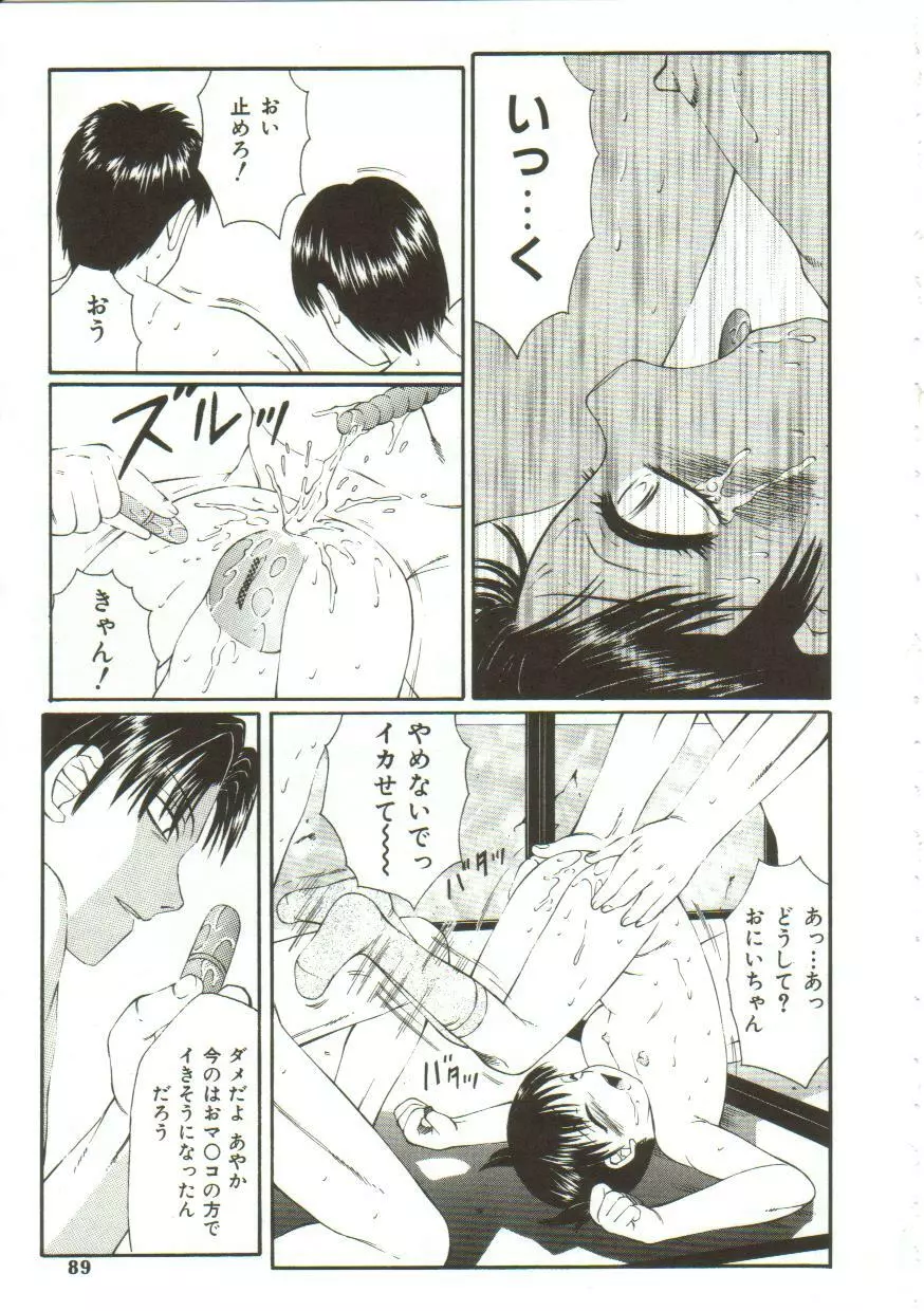 鬼畜の書 Page.87