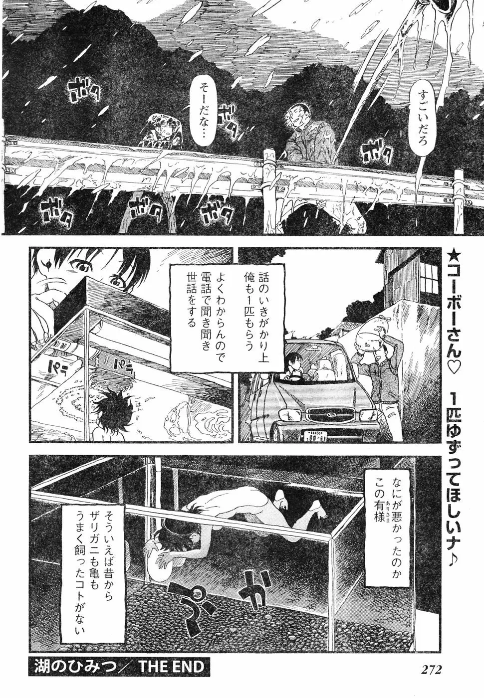 ヤングチャンピオン烈 Vol.05 Page.251