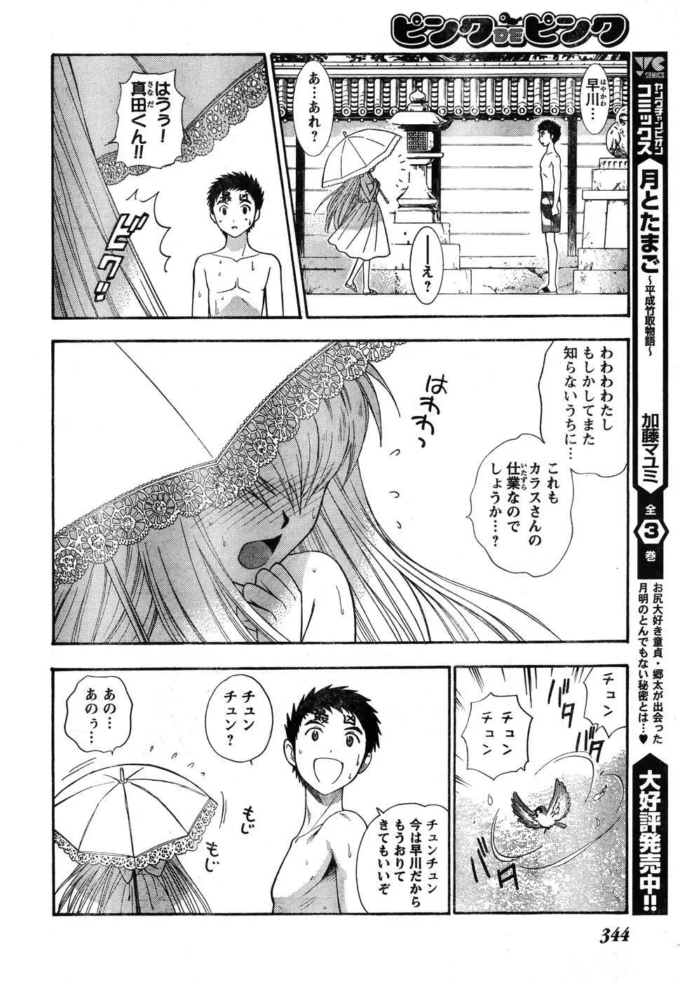 ヤングチャンピオン烈 Vol.07 Page.329