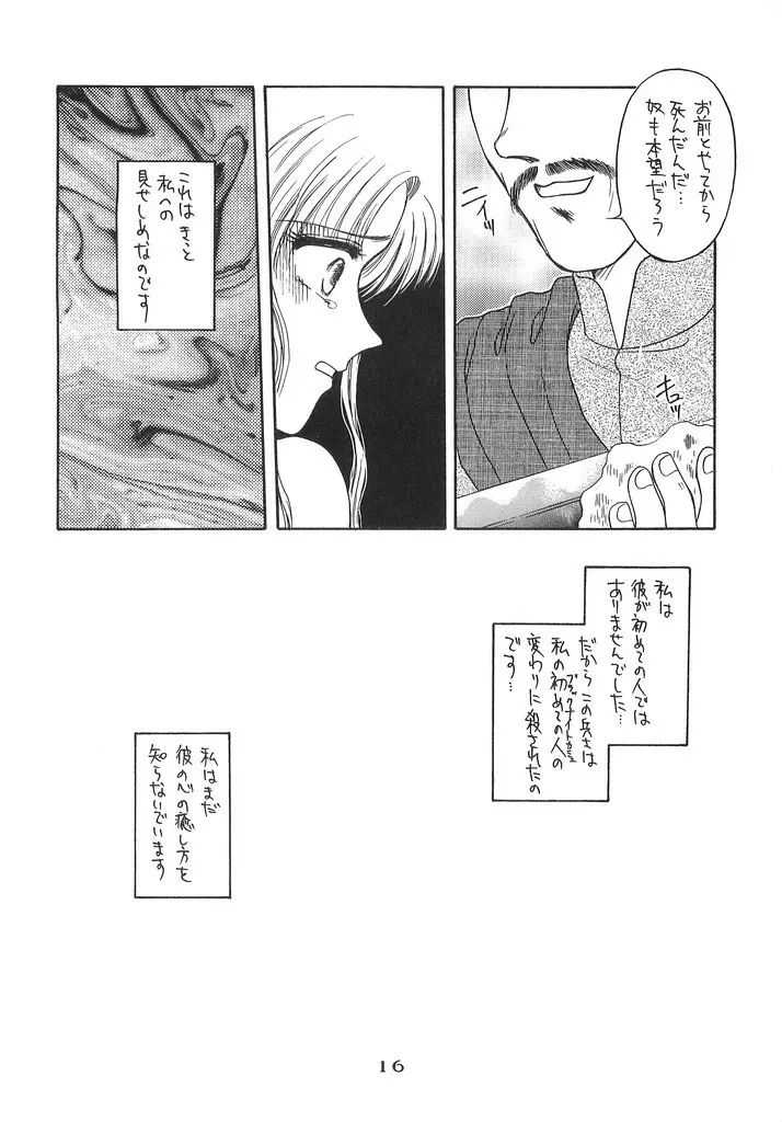 瞳の中の未来 Page.15