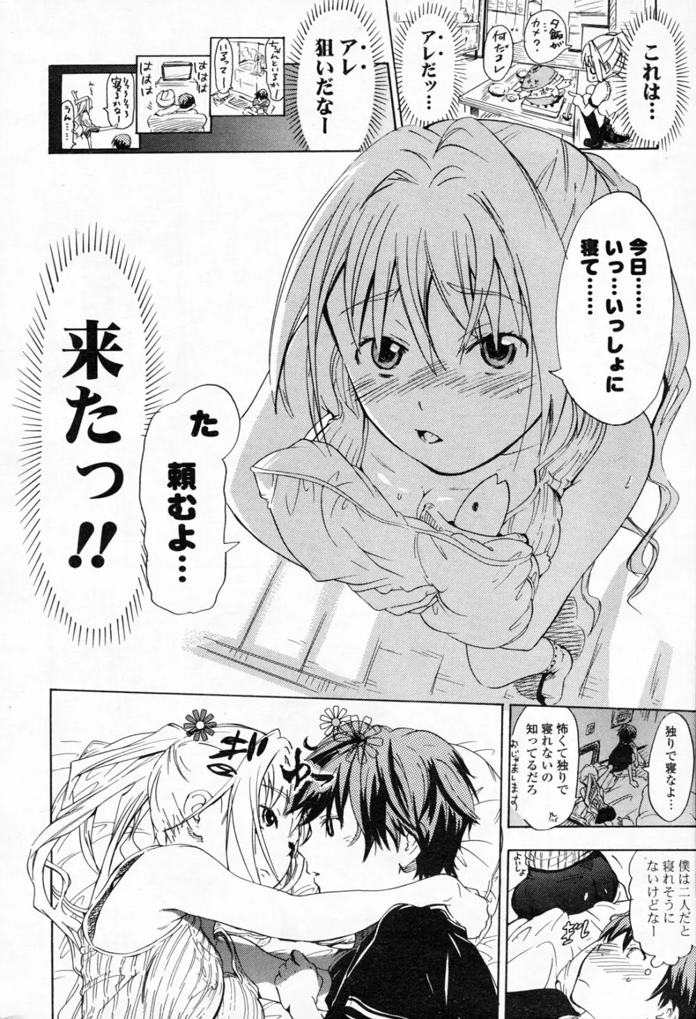 COMIC ポプリクラブ 2008年06月号 Page.262