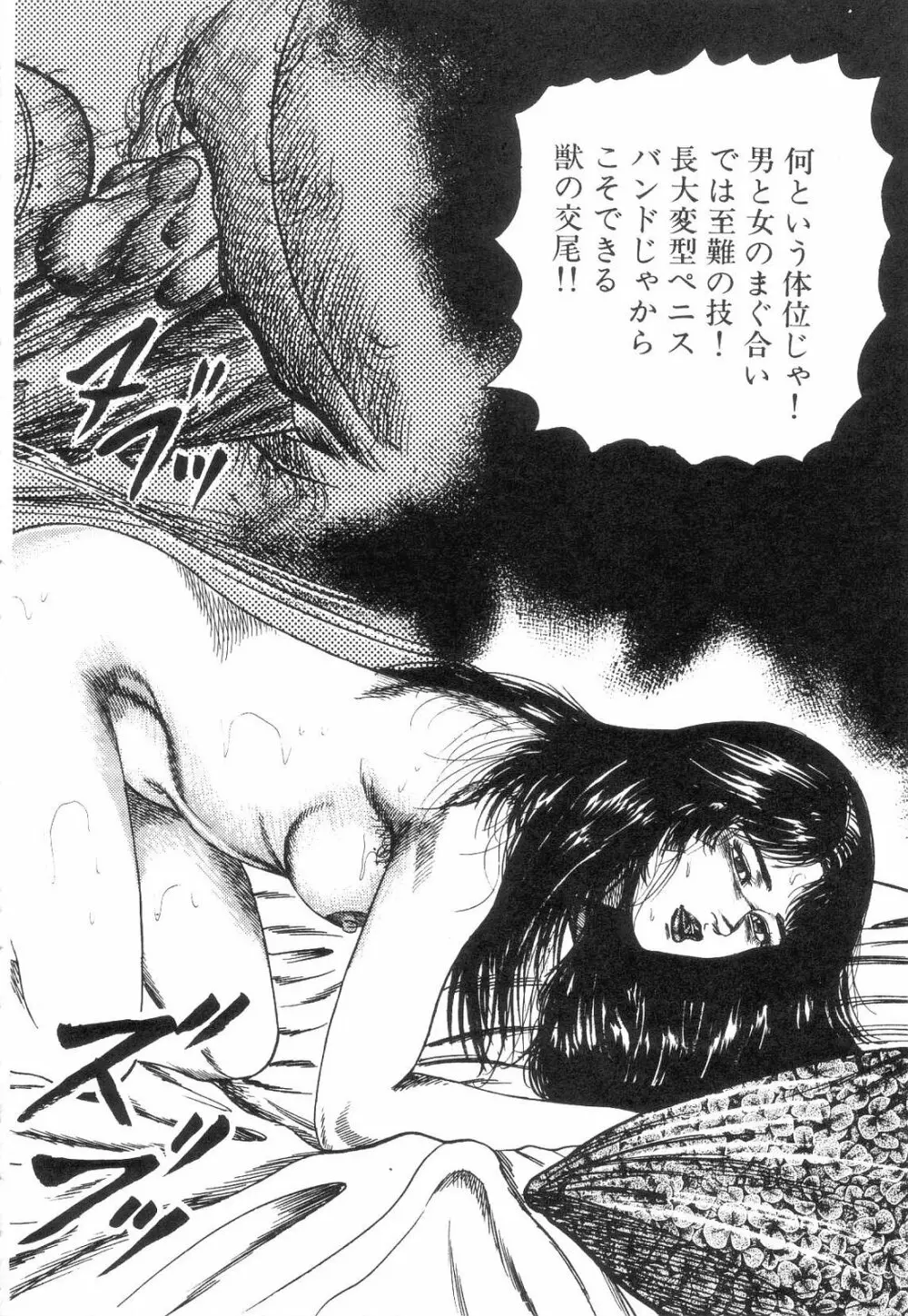 白の黙示録 第2巻 詩音凌辱の章 Page.100