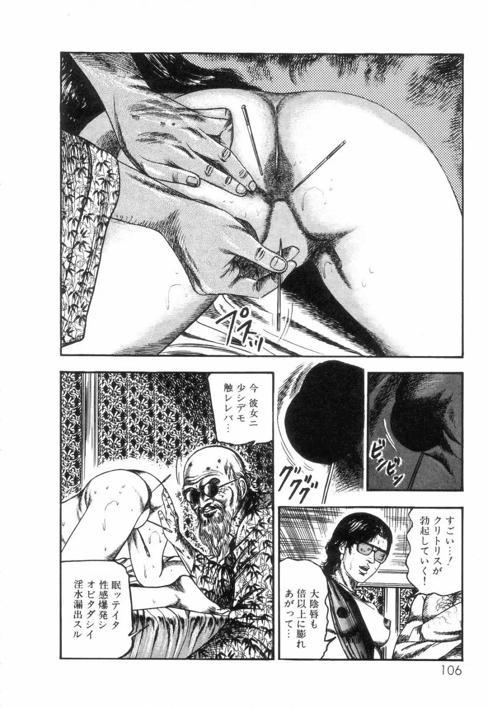 白の黙示録 第2巻 詩音凌辱の章 Page.108