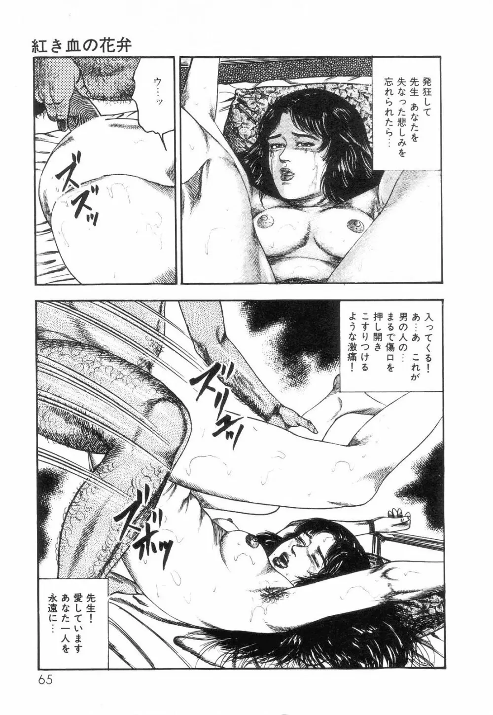 白の黙示録 第2巻 詩音凌辱の章 Page.67