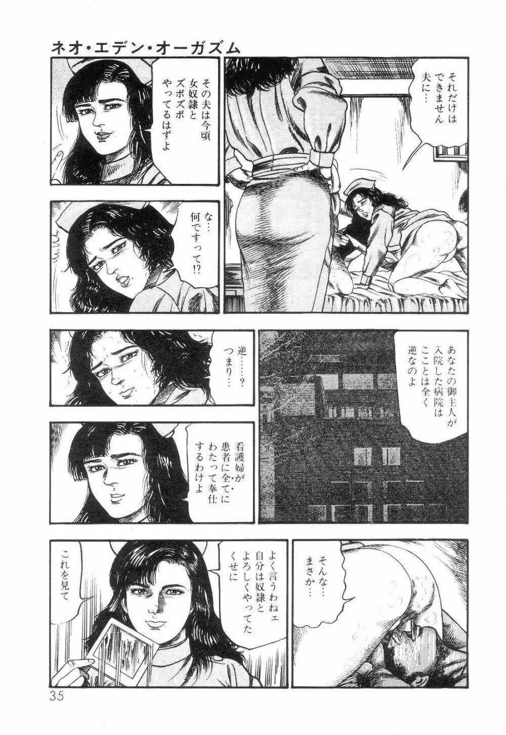 白の黙示録 第3巻 隷妻・美星編 Page.37