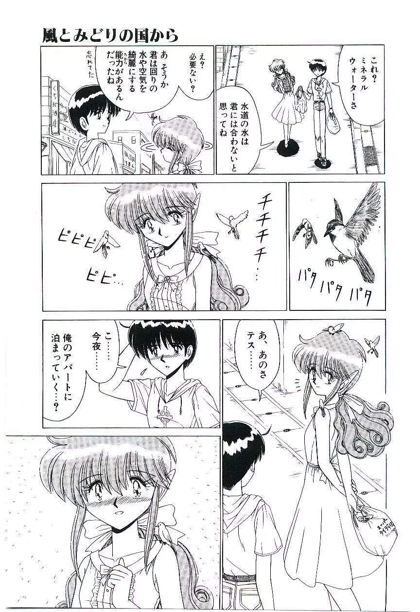 風とみどりの国から Page.12