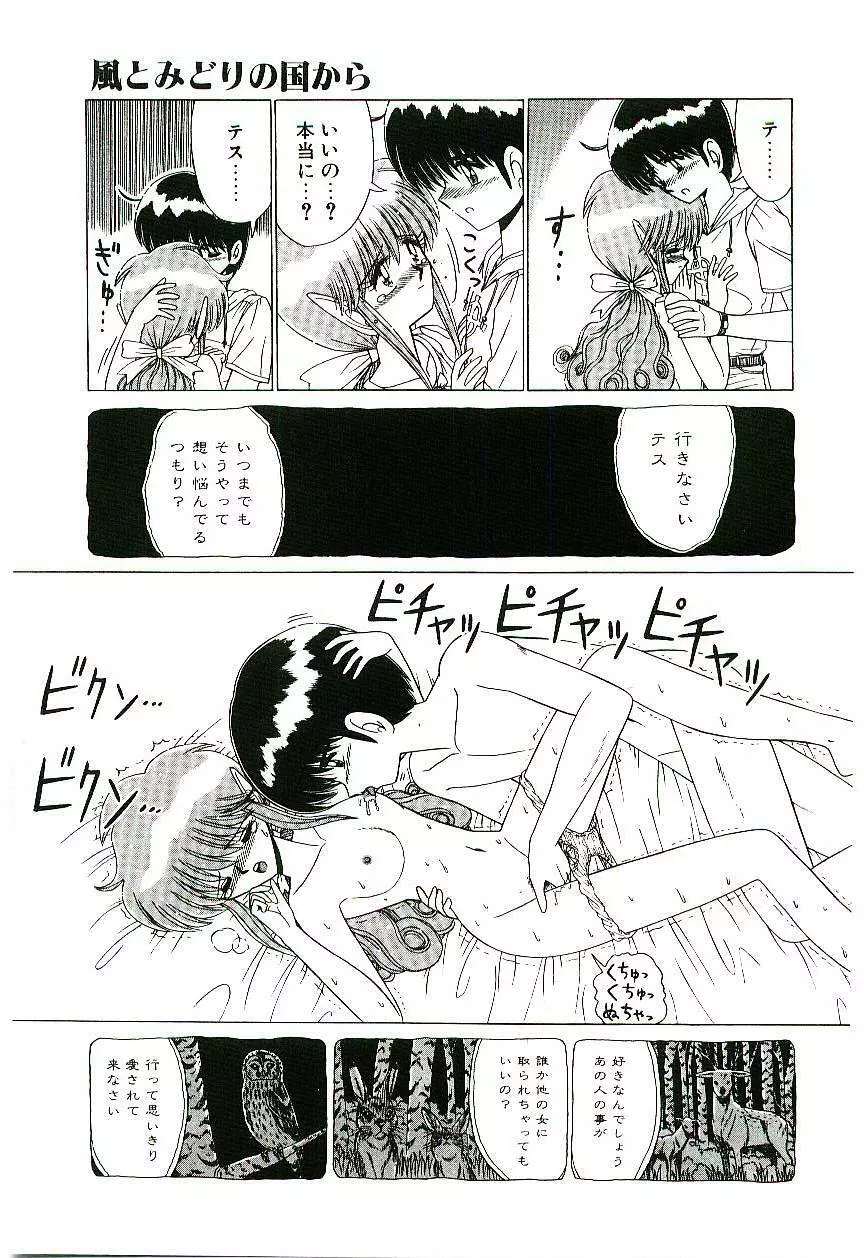 風とみどりの国から Page.14