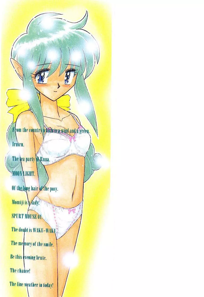 風とみどりの国から Page.2