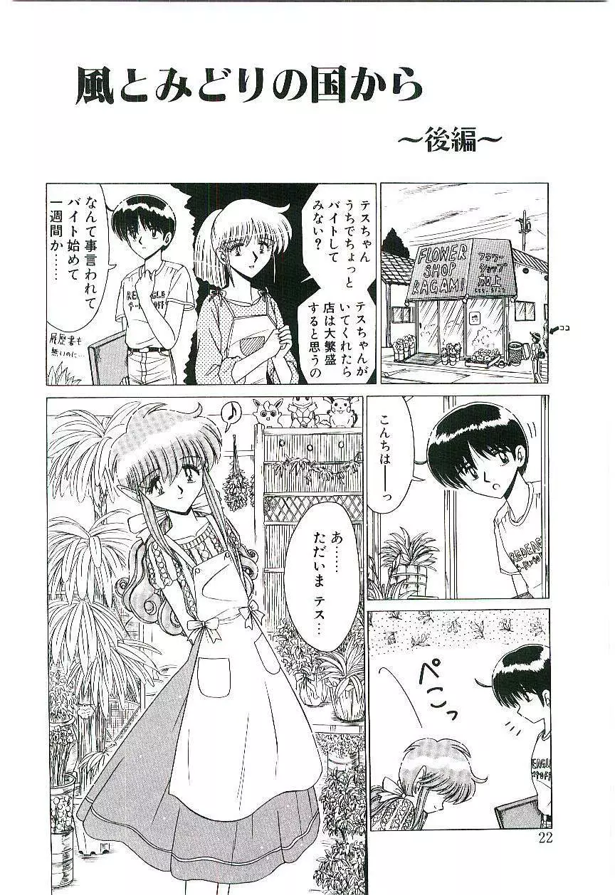 風とみどりの国から Page.23