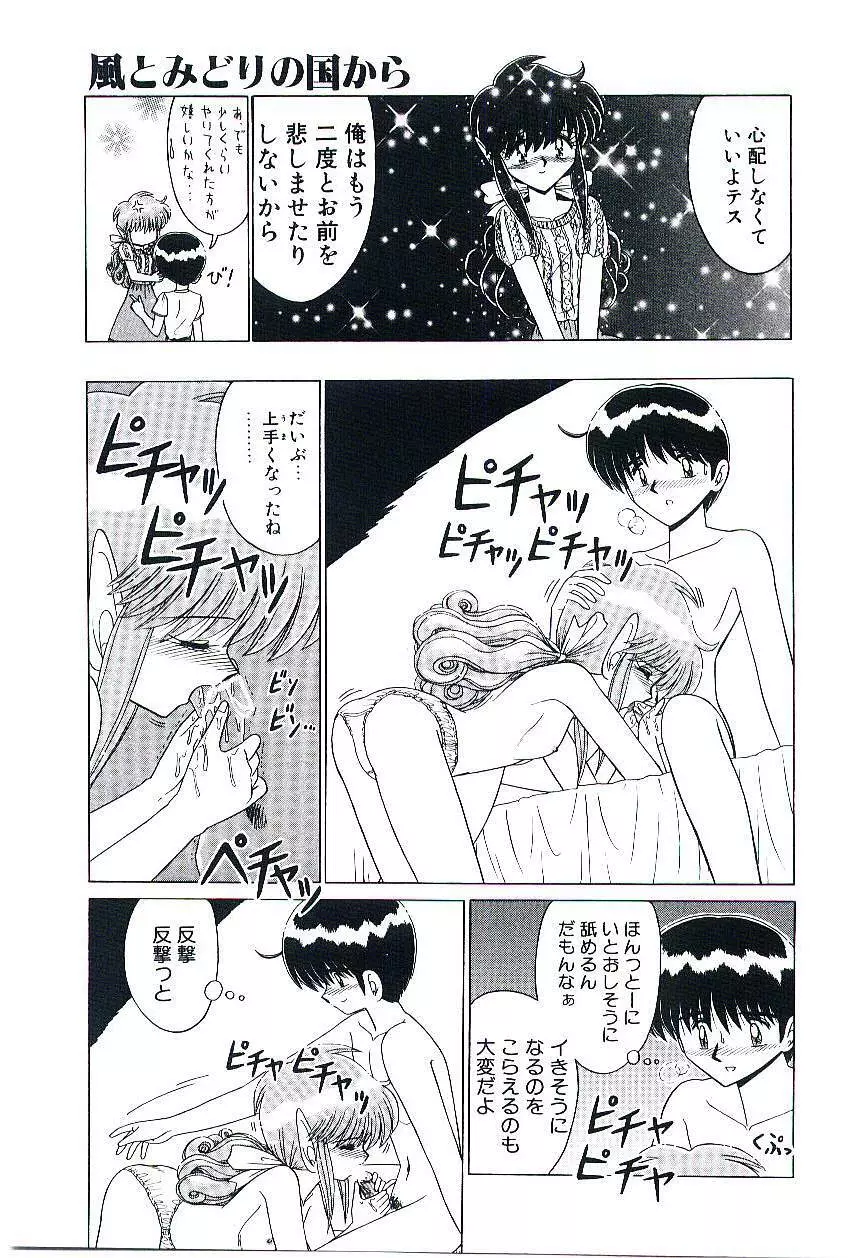 風とみどりの国から Page.28