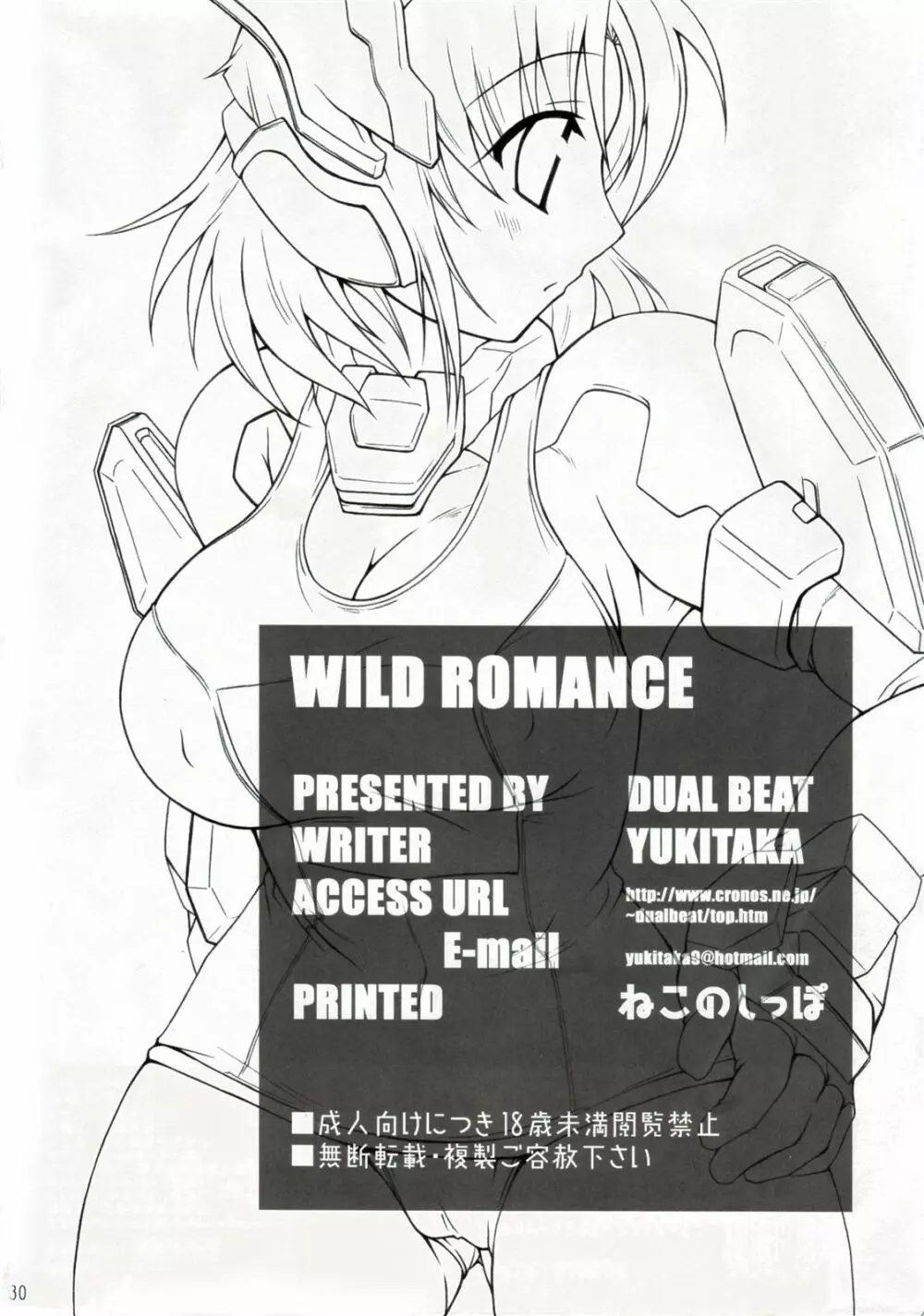 WILD ROMANCE Page.29