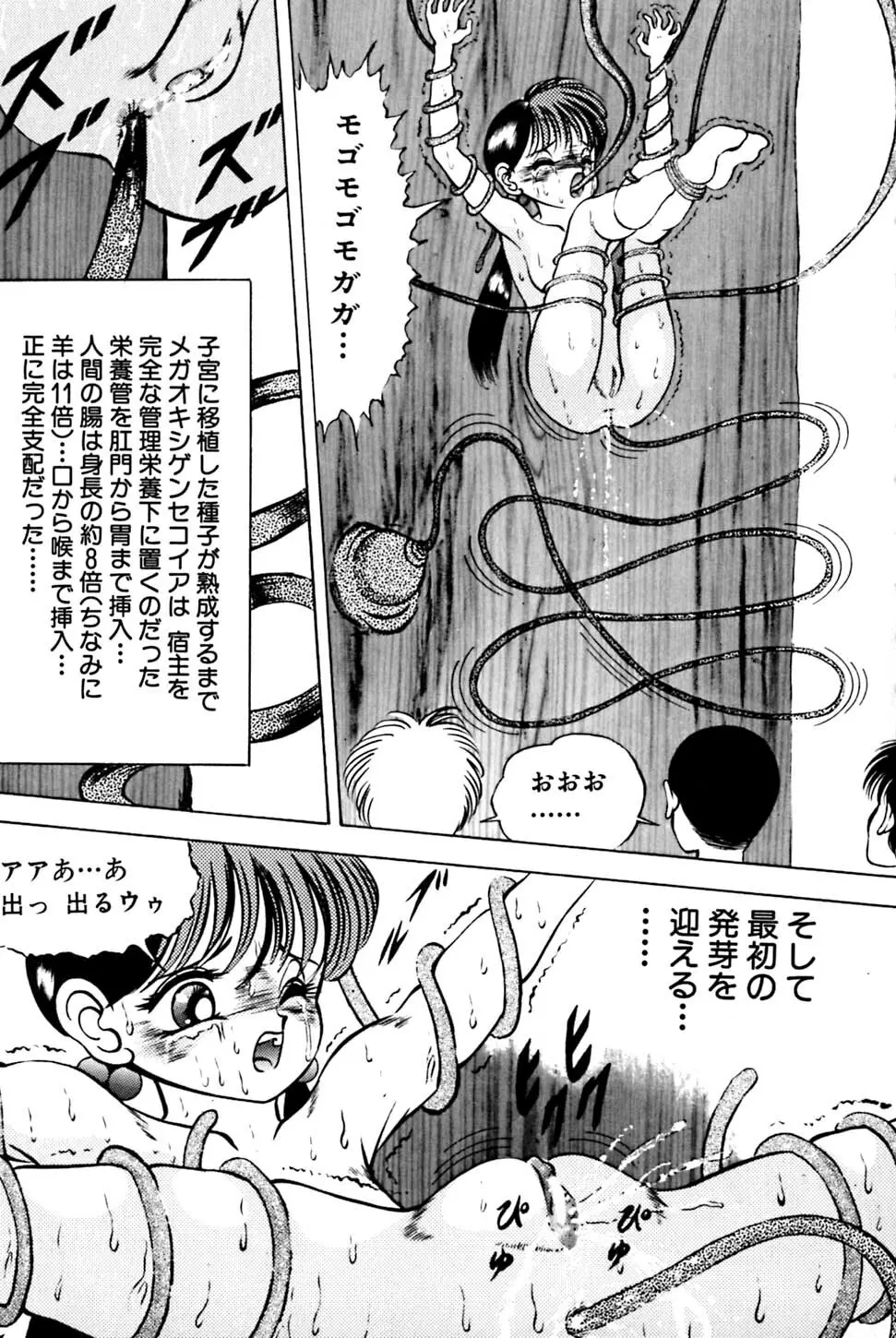 奇妙な果実 Page.24