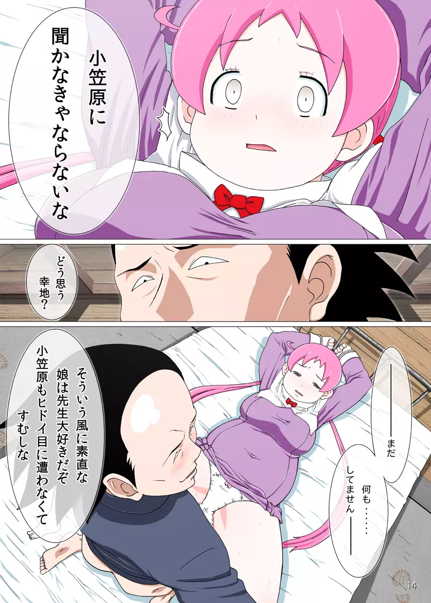 歪んだ愛情の皮を被った桃色洗脳プログラム Page.14