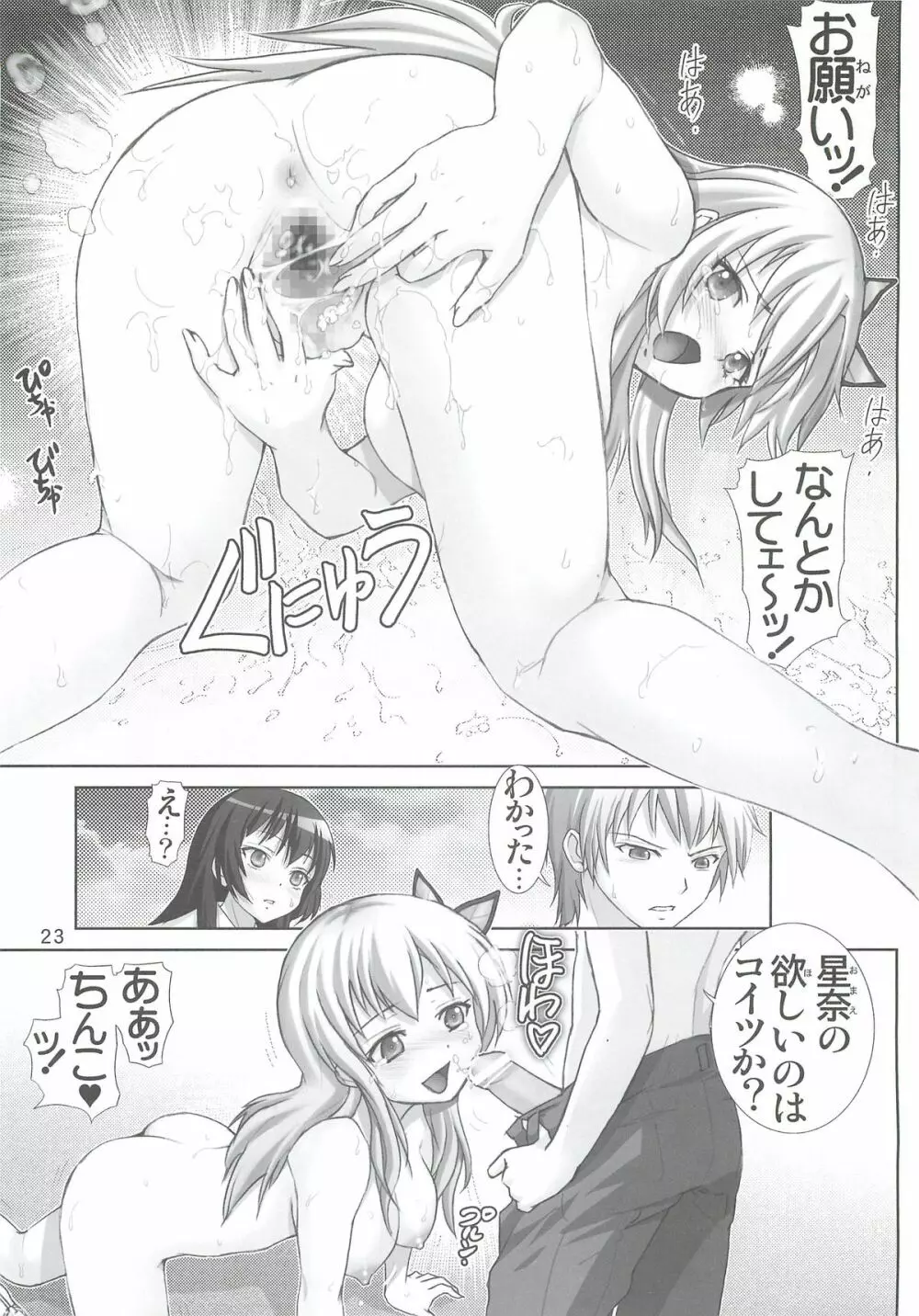 星奈の淫戯 Page.22