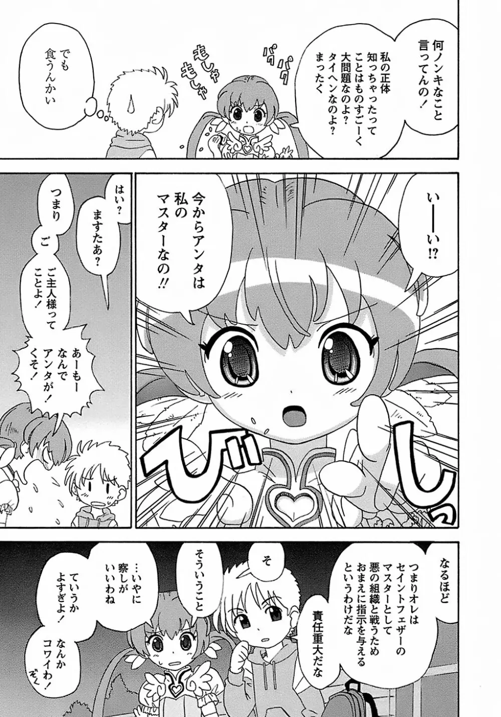 聖翼姫闘 セイントフェザー Page.13