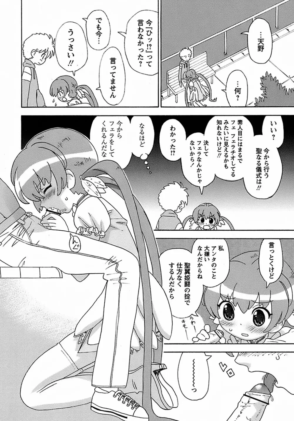 聖翼姫闘 セイントフェザー Page.16
