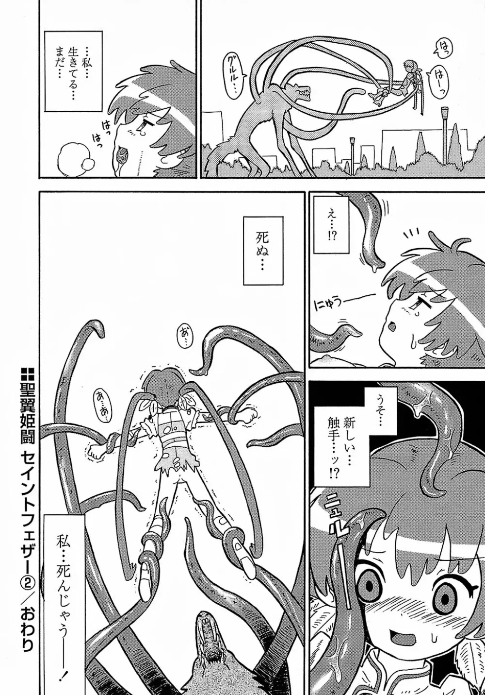 聖翼姫闘 セイントフェザー Page.46