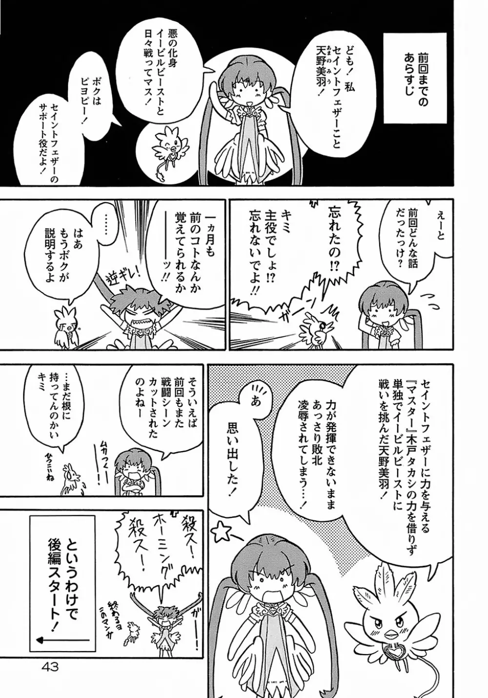 聖翼姫闘 セイントフェザー Page.47