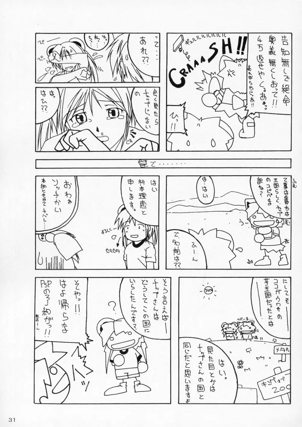 零X 0x0003 Page.30