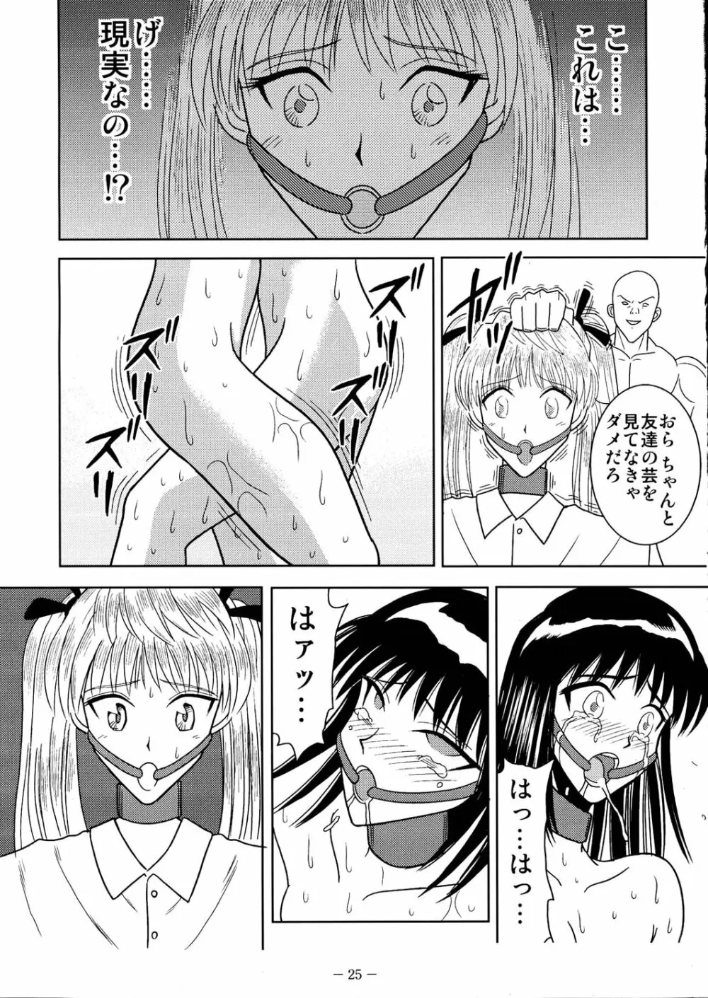 スレーブランブル3 Page.24