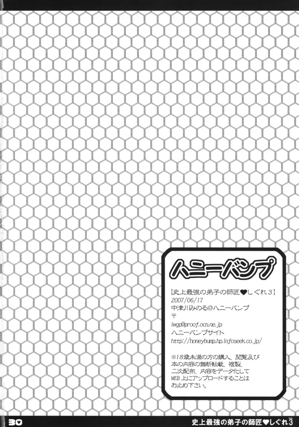 史上最強の弟子の師匠 しぐれ 3 Page.29